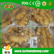 2014 Chinese Fresh Ginger